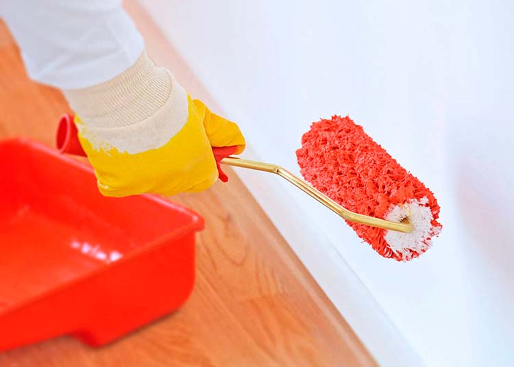 Fırça Ekipmanları